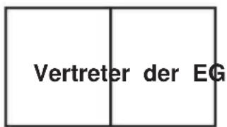 Vevor D5102 - Vorsichtsmaßnahmen beim Einbau der elektrischen Heckklappenstrebe - 1