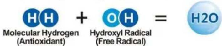 Vevor EHM-939 - The Benefits Of Hydrogen In Alkaline Water - 3