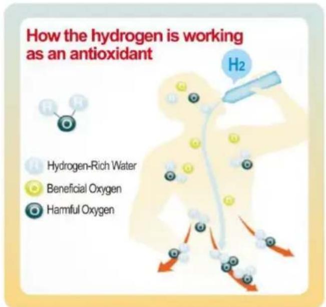 Vevor EHM-939 - The Benefits Of Hydrogen In Alkaline Water - 1