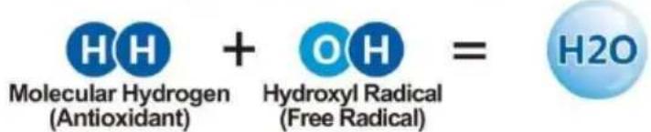 Vevor EHM-939 - The Benefits Of Hydrogen In Alkaline Water - 3