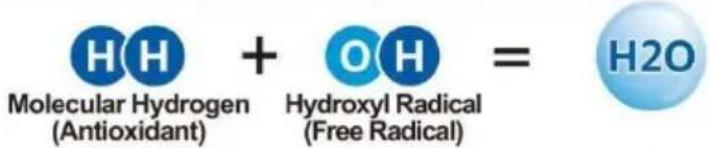 Vevor EHM-939 - The Benefits Of Hydrogen In Alkaline Water - 3
