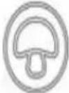 Vevor FD-1018 - Livsmedelsbearbetning : - 5