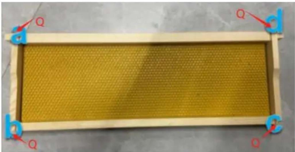 Vevor FX2+2 - 47.telaio 170 - 2