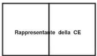 Vevor FBL210211 - CORRIMANO PER WC - 3