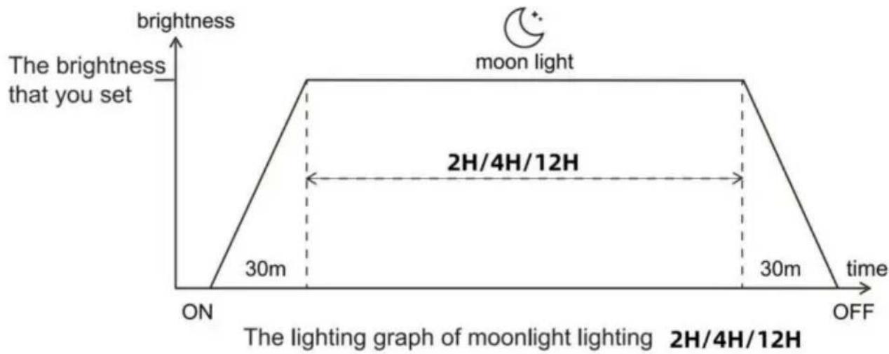 Vevor FG-189 - Moonlight belysningsinstallingar - 1