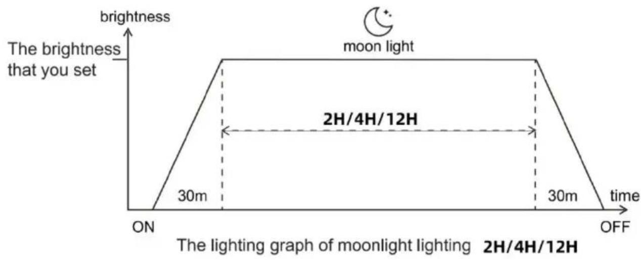 Vevor FG-189 - Moonlight lighting settings - 1