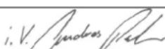 SCHEPPACH CAG115-20ProS - CE - Konformitätserklärung - 1