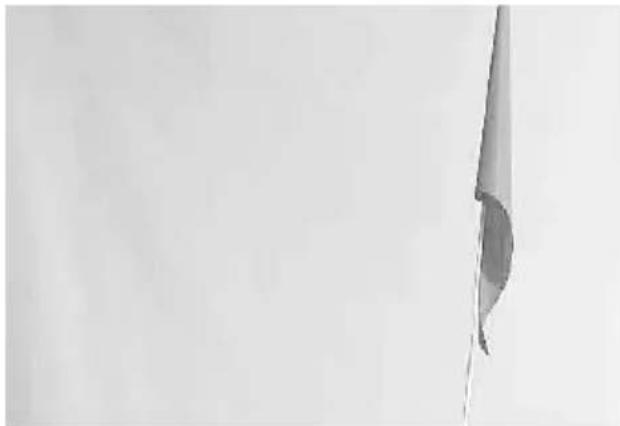 Vevor JBT03K2 - Insérez le drapeau de sécurité : - 2