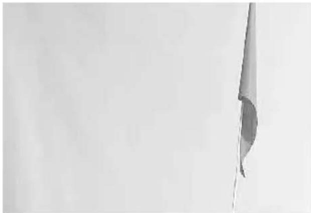 Vevor JBT03K2 - Inserte la bandera de seguridad: - 2
