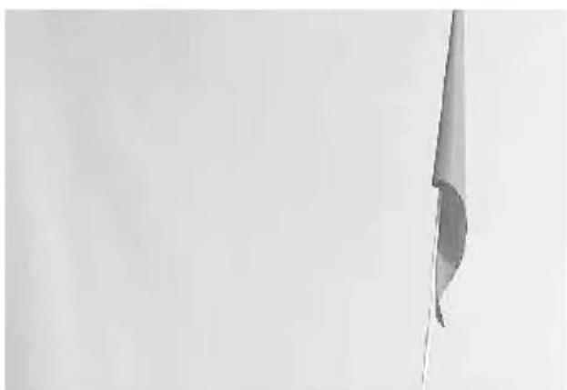 Vevor JBT03K2 - Fugen Sie die Sicherheitsflagge ein: - 2