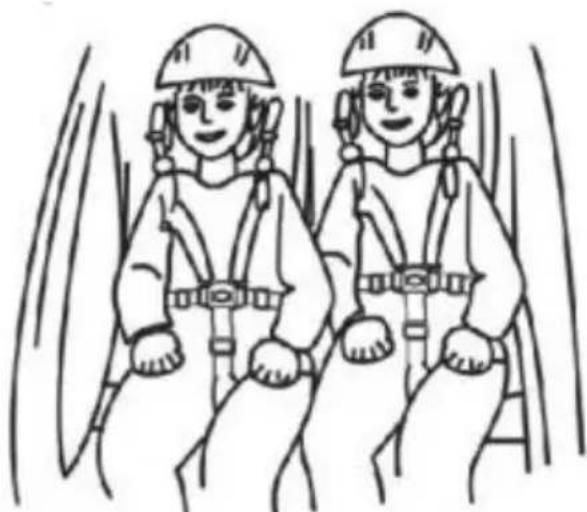 Vevor JBT03A2 - Using The Safety Harness: - 1