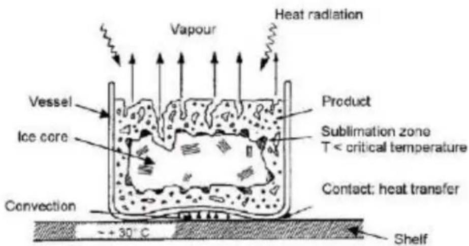 Vevor HFD-4 - Normal information for vacuum freeze drying - 2