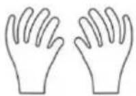 Vevor K2E01003 - Dellista: - 28