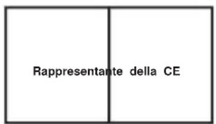 Vevor K1E01017 - ISTRUZIONI PER LA CURA - 2