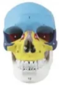 Vevor LDX-V1 - SAVE THESE INSTRUCTIONS - 1