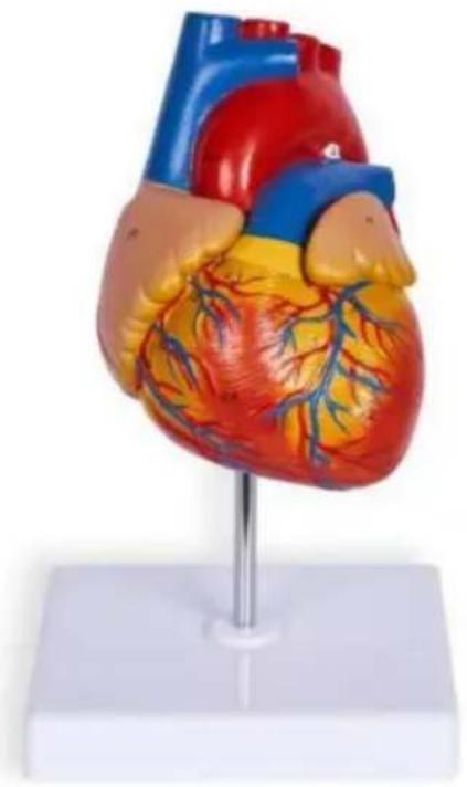 Vevor LDX-V23 - VEVOR® - 1