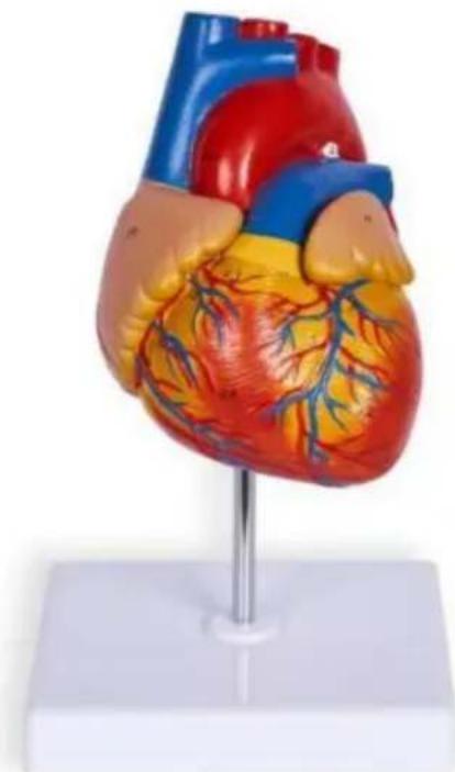 Vevor LDX-V23 - VEVOR® - 1
