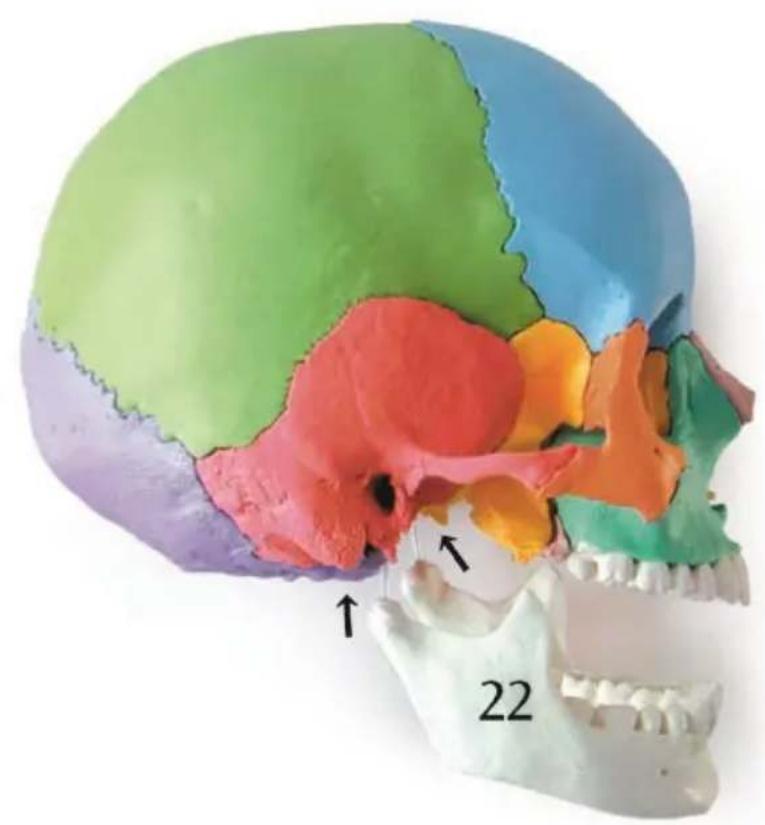 Vevor LD-V21 - SAVE THESE INSTRUCTIONS - 15