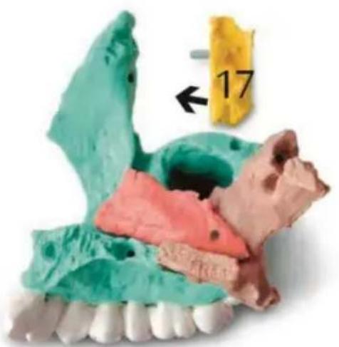 Vevor LD-V21 - TOUGH TOOLS, HALF PRICE - 8