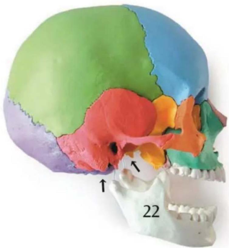 Vevor LD-V21 - VEVOR® - 14