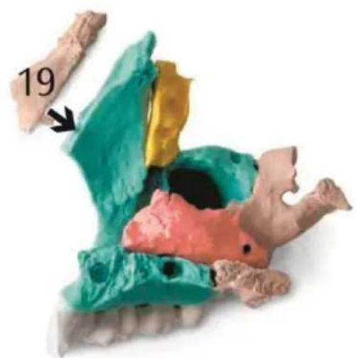 Vevor LD-V21 - SAVE THESE INSTRUCTIONS - 12