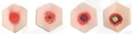 Vevor LD-140 - PARTS LIST - 14