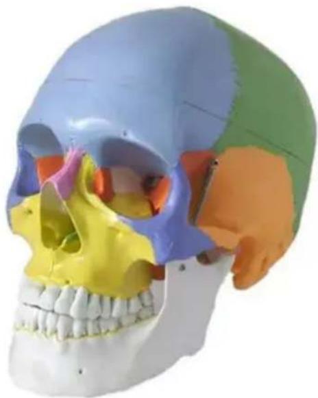 Vevor LDX-V8 - VEVOR® - 1