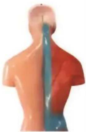 Vevor LD-203 - VEVOR® - 13