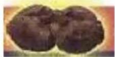 Vevor LD-3JT - 2.Parietal lobe - 1