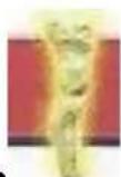 Vevor LD-3JT - Insula - 1