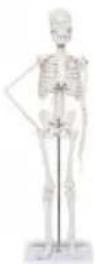 Vevor LD-3JT - SAVE THESE INSTRUCTIONS - 1