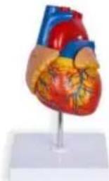 Vevor LD-3JT - SALVA QUESTE ISTRUZIONI - 3