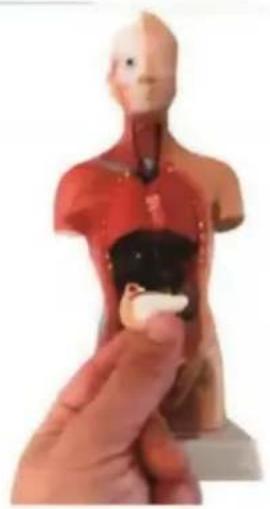 Vevor LD-3JT - Anatomía del - 11