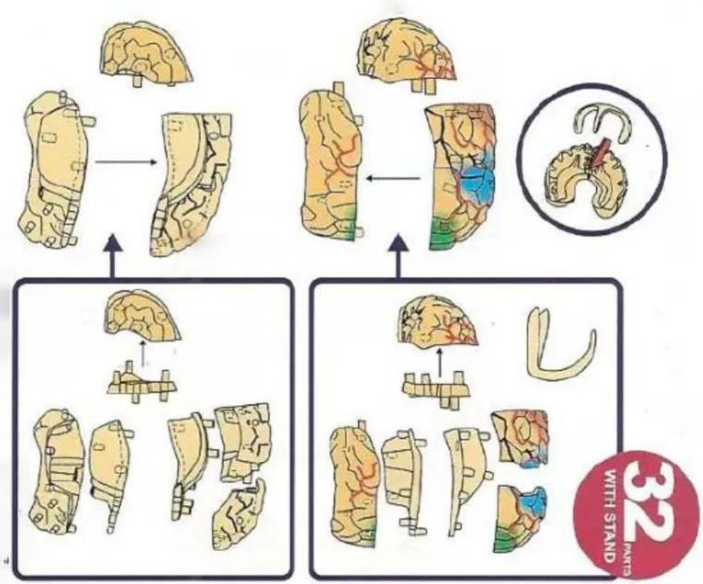 Vevor LD-3JT - 9.Brainstem - 4