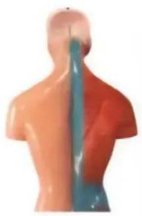 Vevor LD-3JT - Anatomía del - 14