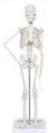 Vevor LD-3JT - CONSERVEZ CES INSTRUCTIONS - 1