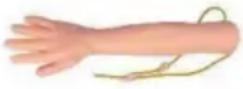 Vevor LD-HS2 - CONSERVEZ CES INSTRUCTIONS - 1