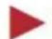 Vevor PLR-100 - Attenzione - 1