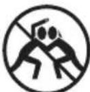 Vevor PL2472 - SAFETY WARNINGS: FAILURE TO FOLLOW THESE INSTRUCTIONS COULD RESULT IN SERIOUS INJURY OR DEATH. - 10