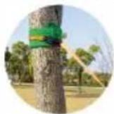 Vevor PR-012-50 - • HOW TO SET UP A SLACKLINE? - 1