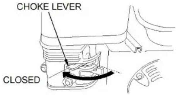 Vevor SCWP80Ⅱ - STARTING THE ENGINE - 2