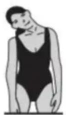 Vevor S7F - Neck lateral flexion stretch: - 1