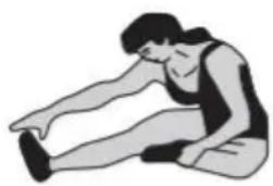 Vevor S7F - Aceite lubricante (ACEITE MANUAL) - 4