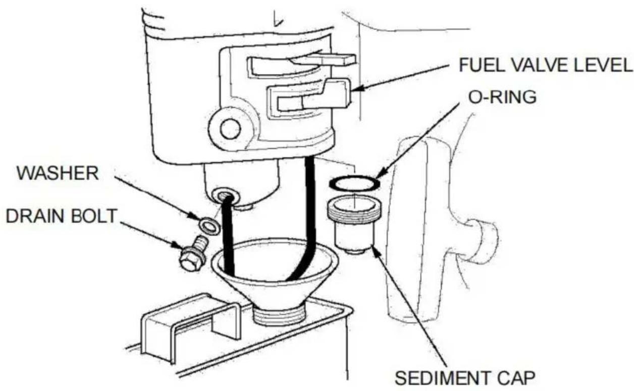 Vevor SCWP50 - Draining the Fuel Tank and Carburetor - 1