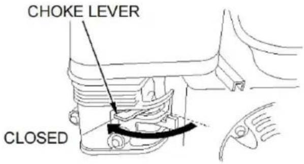 Vevor SCWP50 - STARTING THE ENGINE - 2