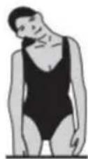Vevor S7Y - Neck lateral flexion stretch: - 1