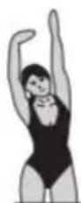 Vevor S7Y - Lateral stretching: - 1