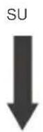 Vevor SDC-40A - Interruttori DIP - 1