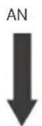 Vevor SDC-40A - DIP-Schalter - 1