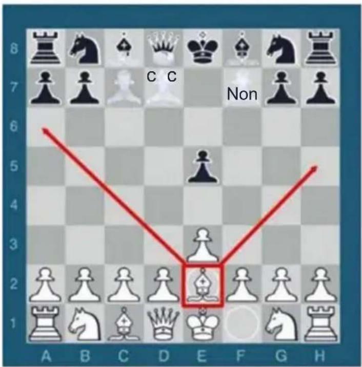Vevor SSC-15F - Pièces d'échecs et comment les déplacer - 4